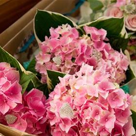 fwthumbbeccas wedding 362 - Copy.jpg